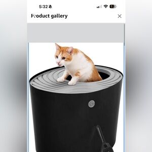 Black Cat Litter Box